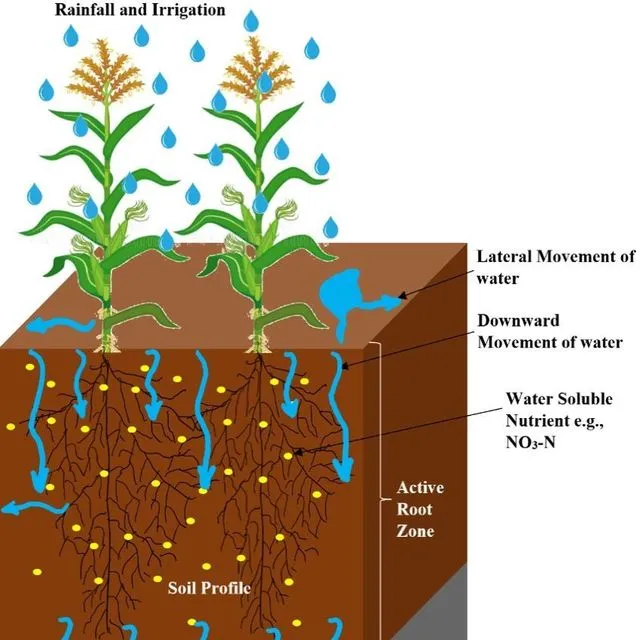thumbnail for publication: Methods to Quantify In-Field Nutrient Leaching